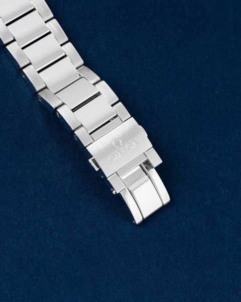 Omega Aqua Terra 150m Gents 220.10.41.21.03.002